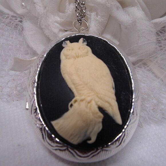 Horned Barn Owl Hoot Cameo Locket Box Keepsake Anniversary birthday GIFT MOM - Picture 2 of 9